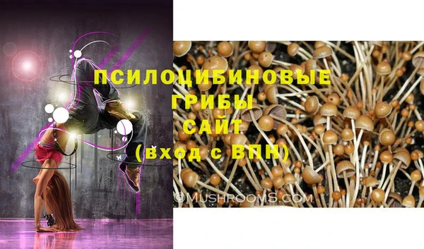 герыч Армянск